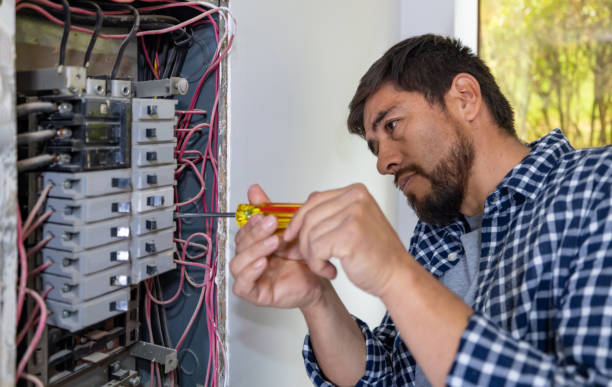 Best Electrical Panel Upgrades  in Linden, TN